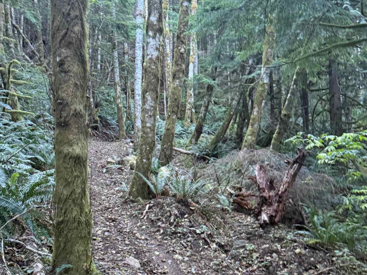 The switchbacks photo 5