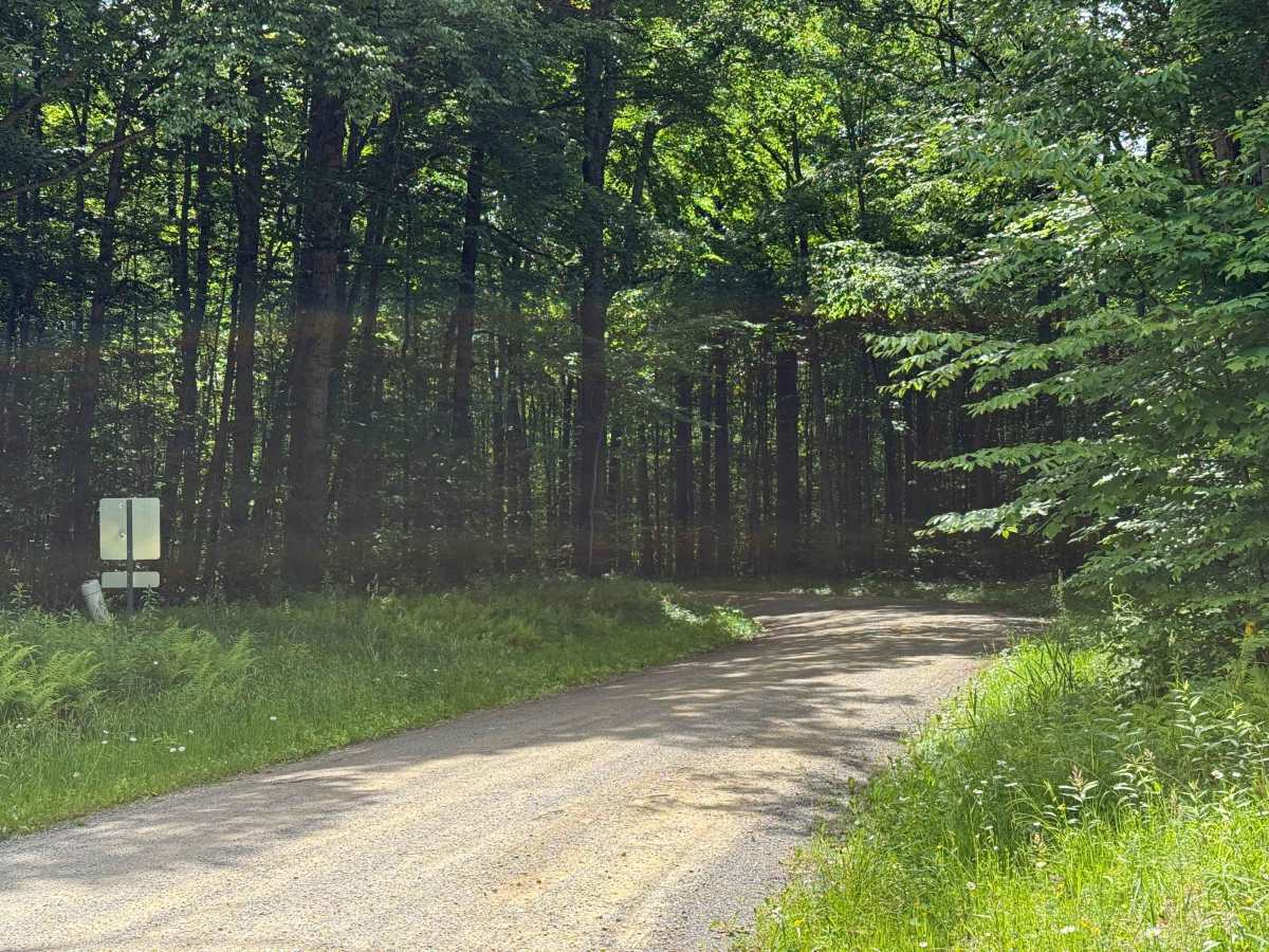 Windy City - FS 457 trail photo