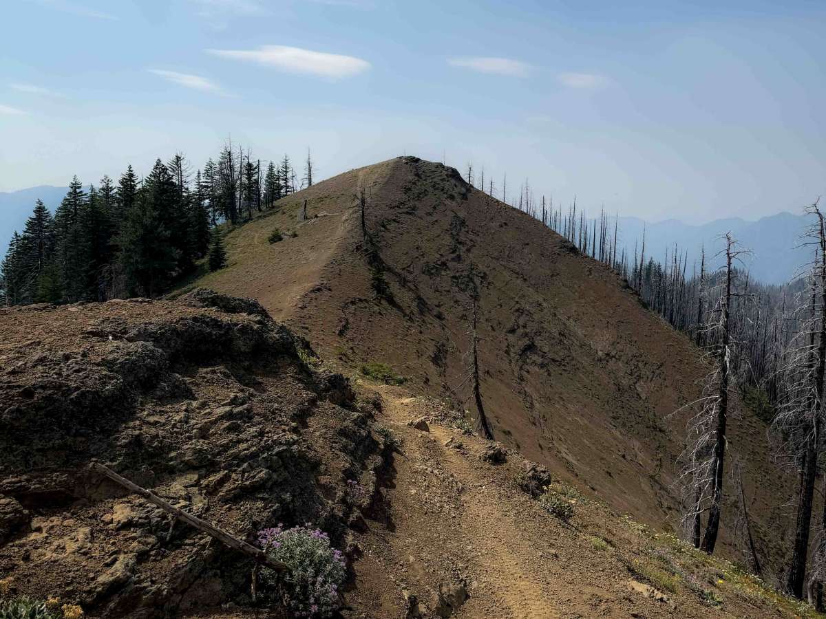 Sasse Mountain (Lower) 1340  trail photo