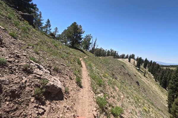 Highline Singletrack
