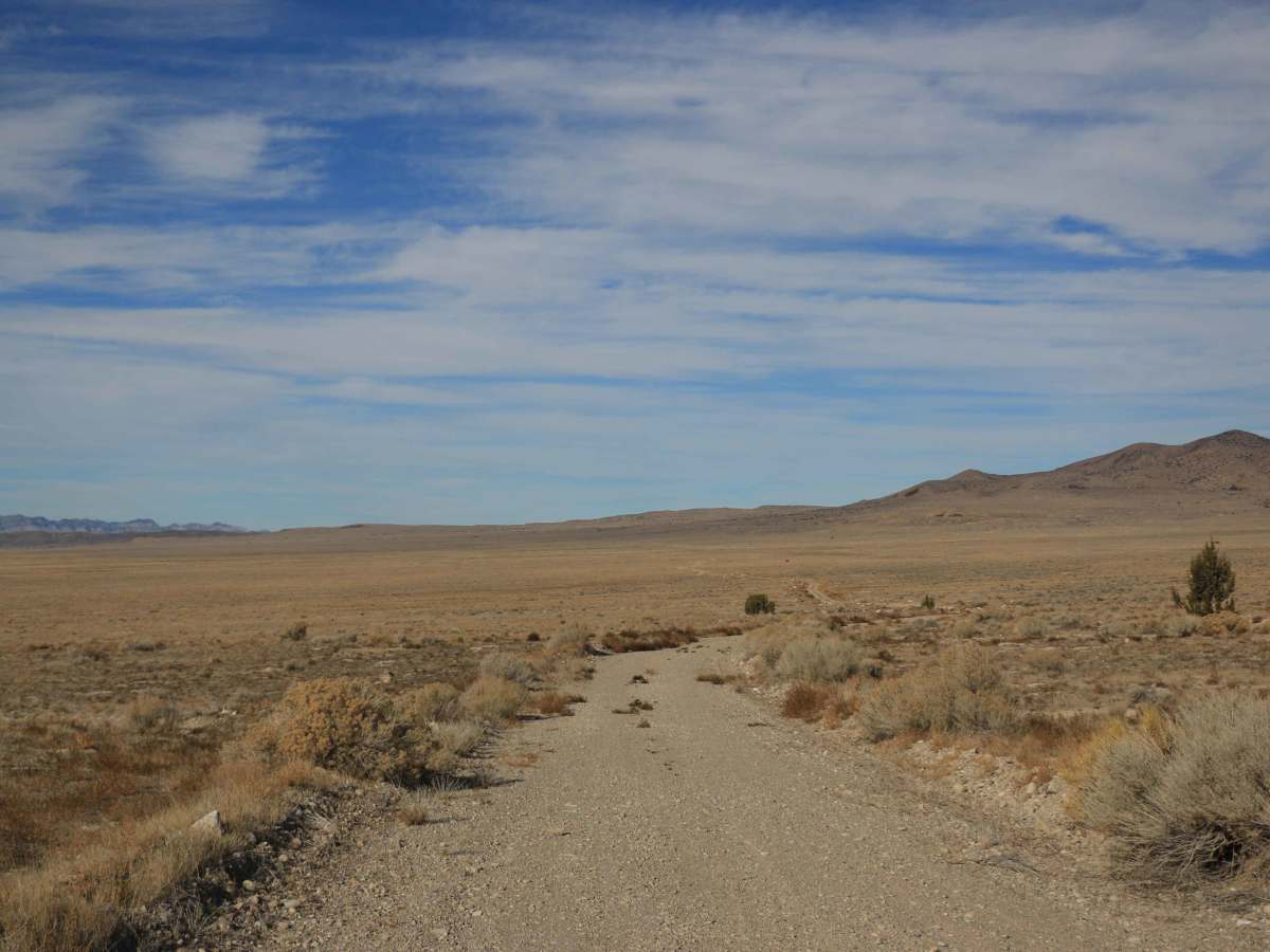 Fremont Lane photo 5