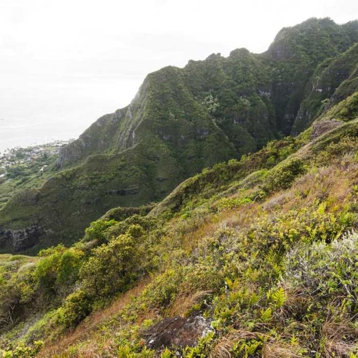 Near Pu'u Manamana Turnover Trail Near Pu'u Manamana Turnover Trail