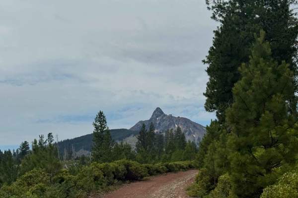 Santiam Wagon Road - FS 1028-500