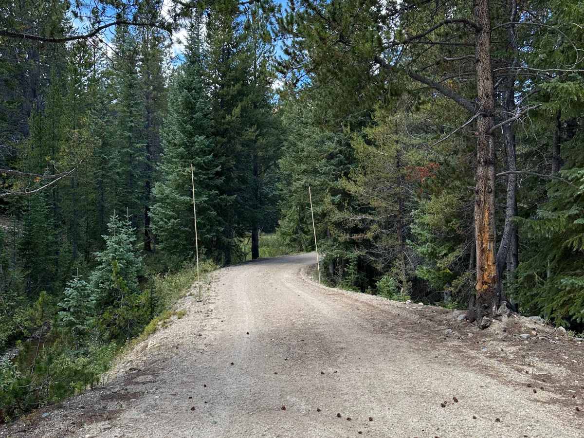 No Name Road photo 4