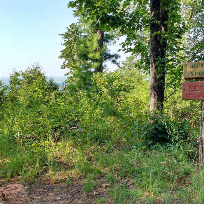 Near Big Rock Mountain Road