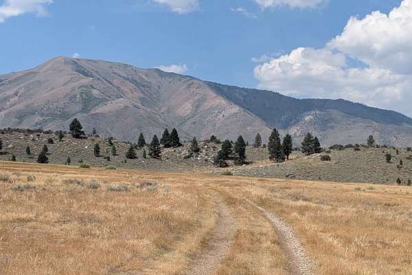 Meadows Way - FS 32144A