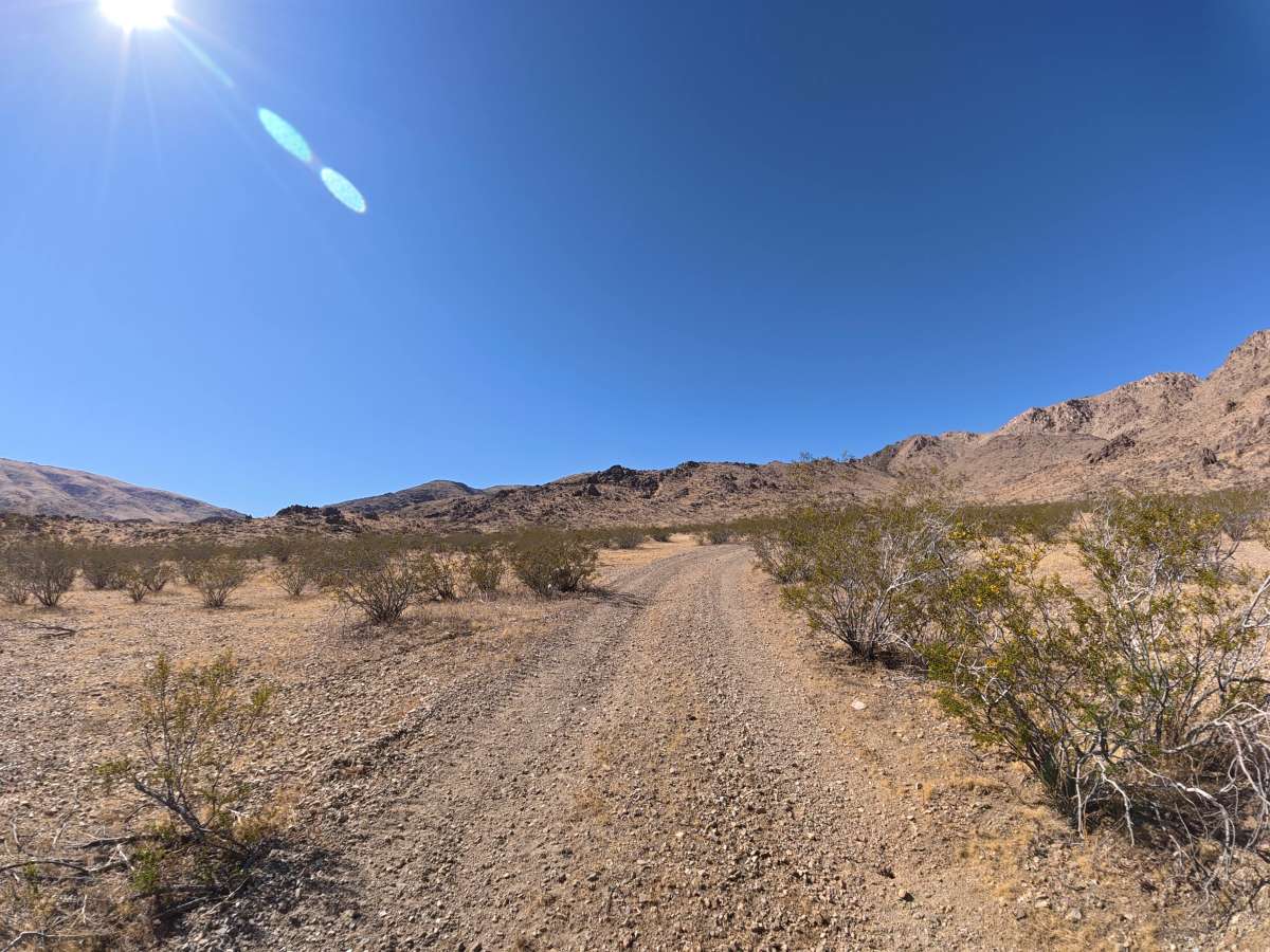 BLM SV2671 photo 5