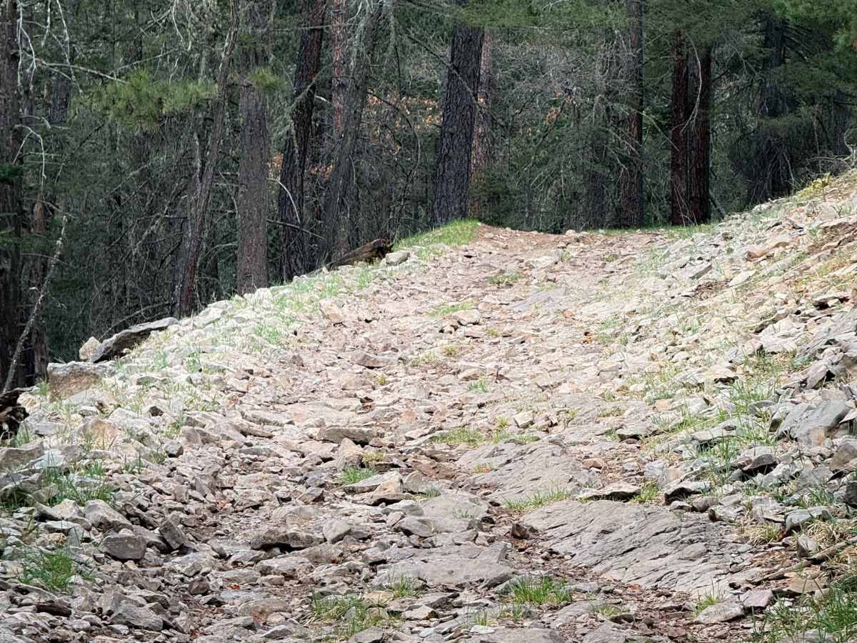 Taylor Canyon - FS 5007  photo 6