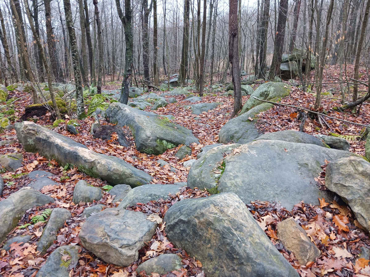 OHV 23 - Rock Run Recreation Area photo 4