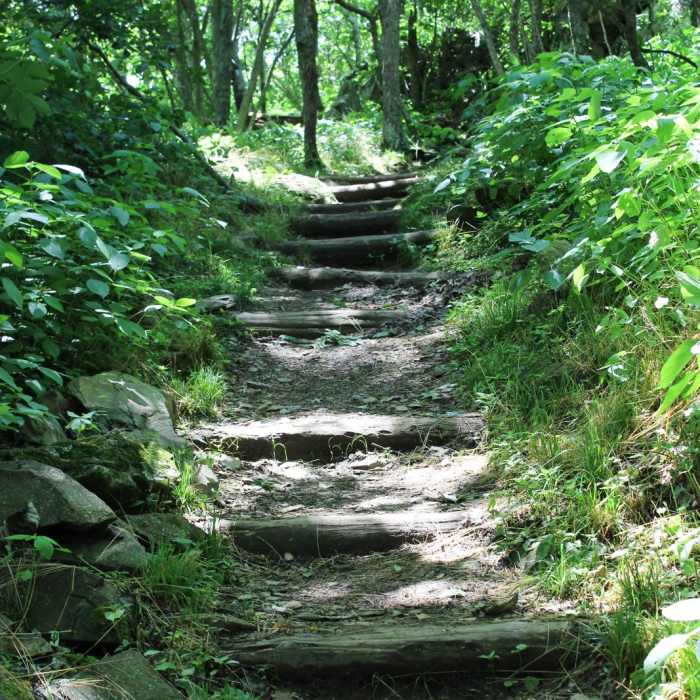 Near Bearfence Loop Trail