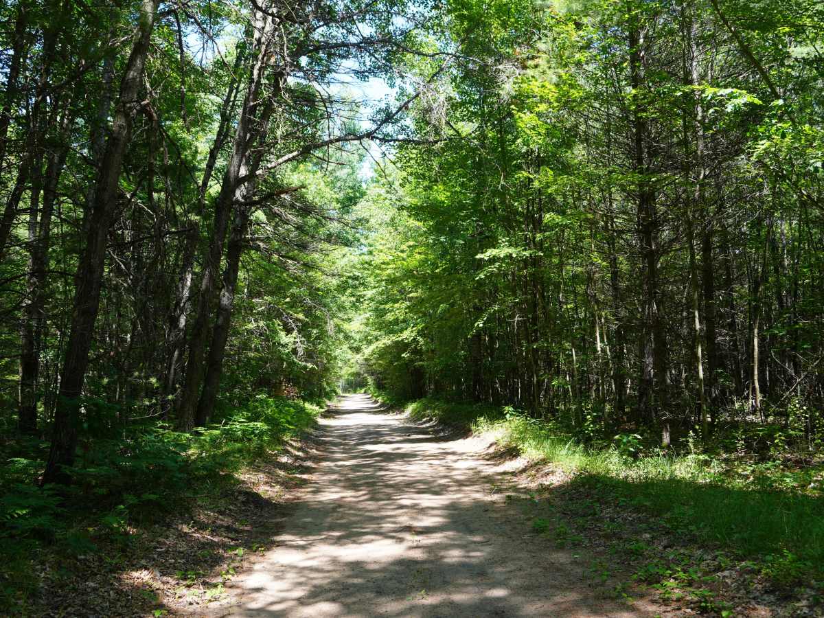 Possum Trail photo 5