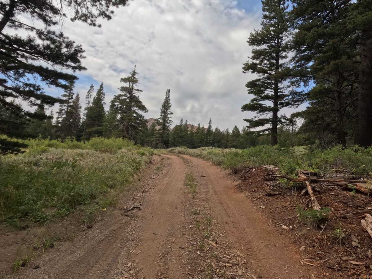 Upper Charity Rd - FS 31068 photo 4