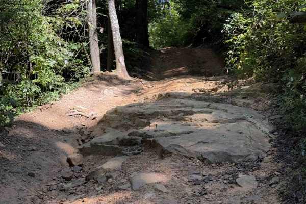 Muse Hollow Trail