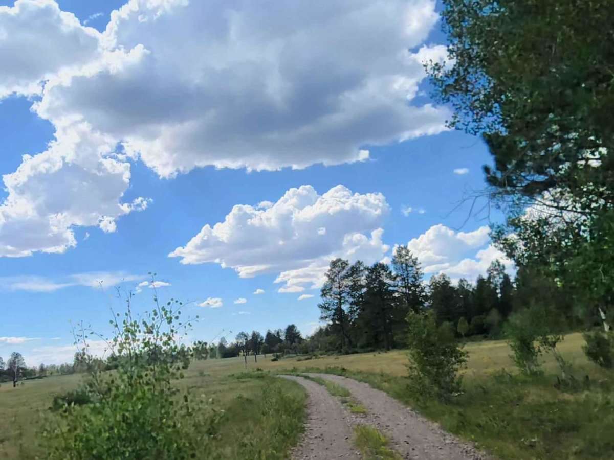 Flat Iron Road photo 6