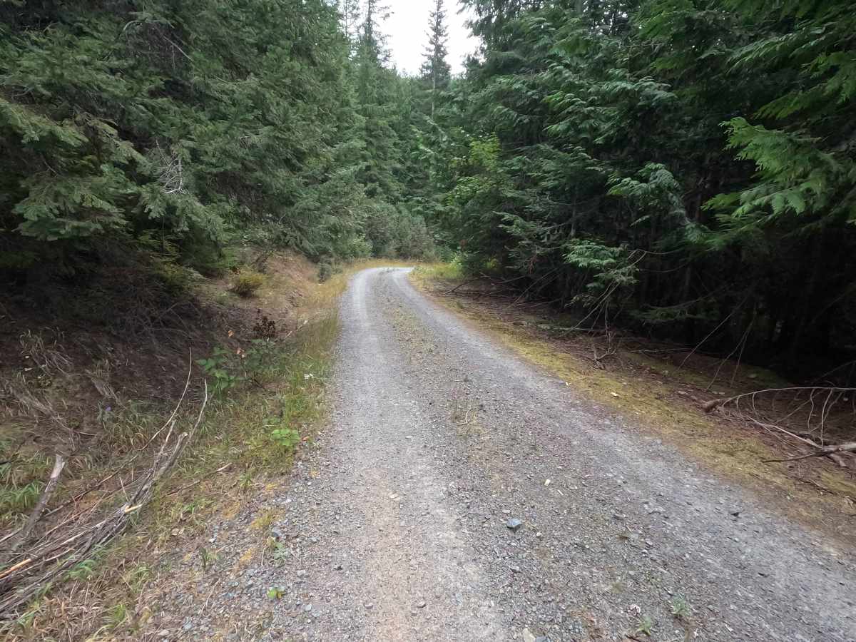 North Skookum Lake Road - FS 5000128 photo 3
