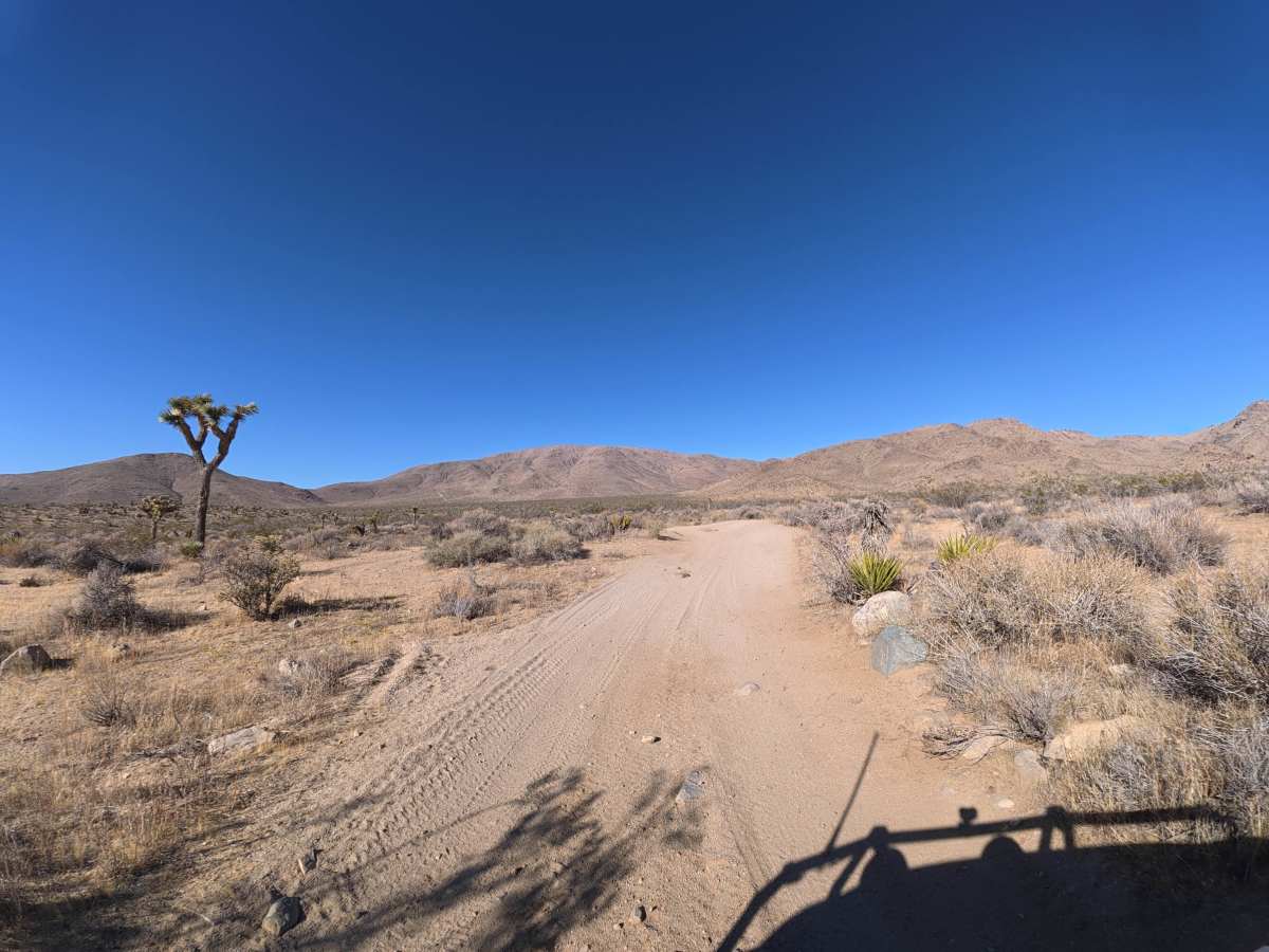 BLM SV2635 photo 6
