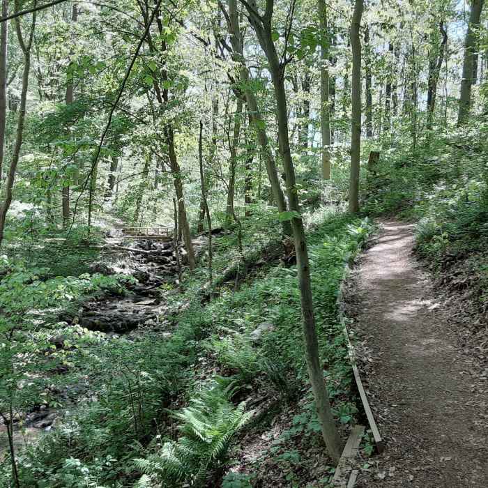 so unneccessary... Near Double Spring Gap Climb