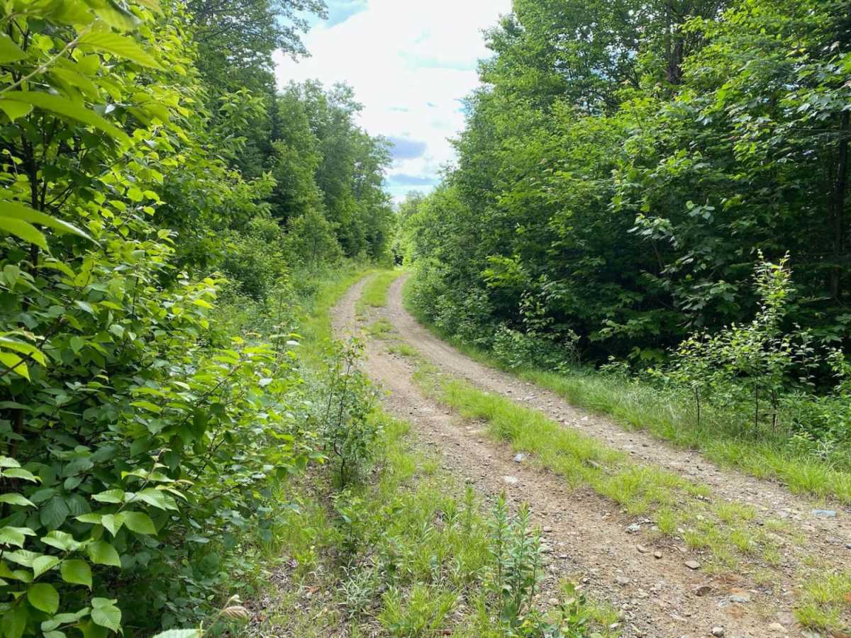 Edes Brook Trail trail photo