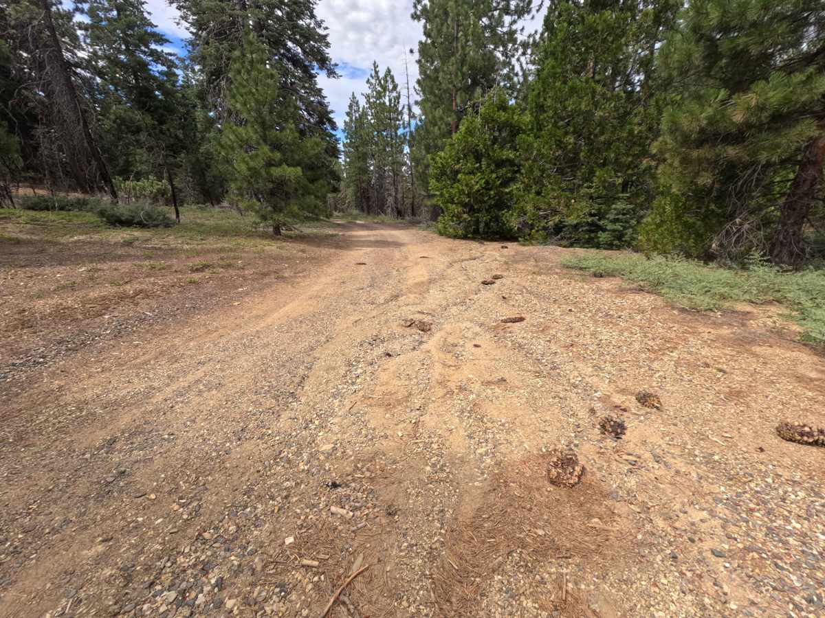 Wallow - FS 20N126 photo 5