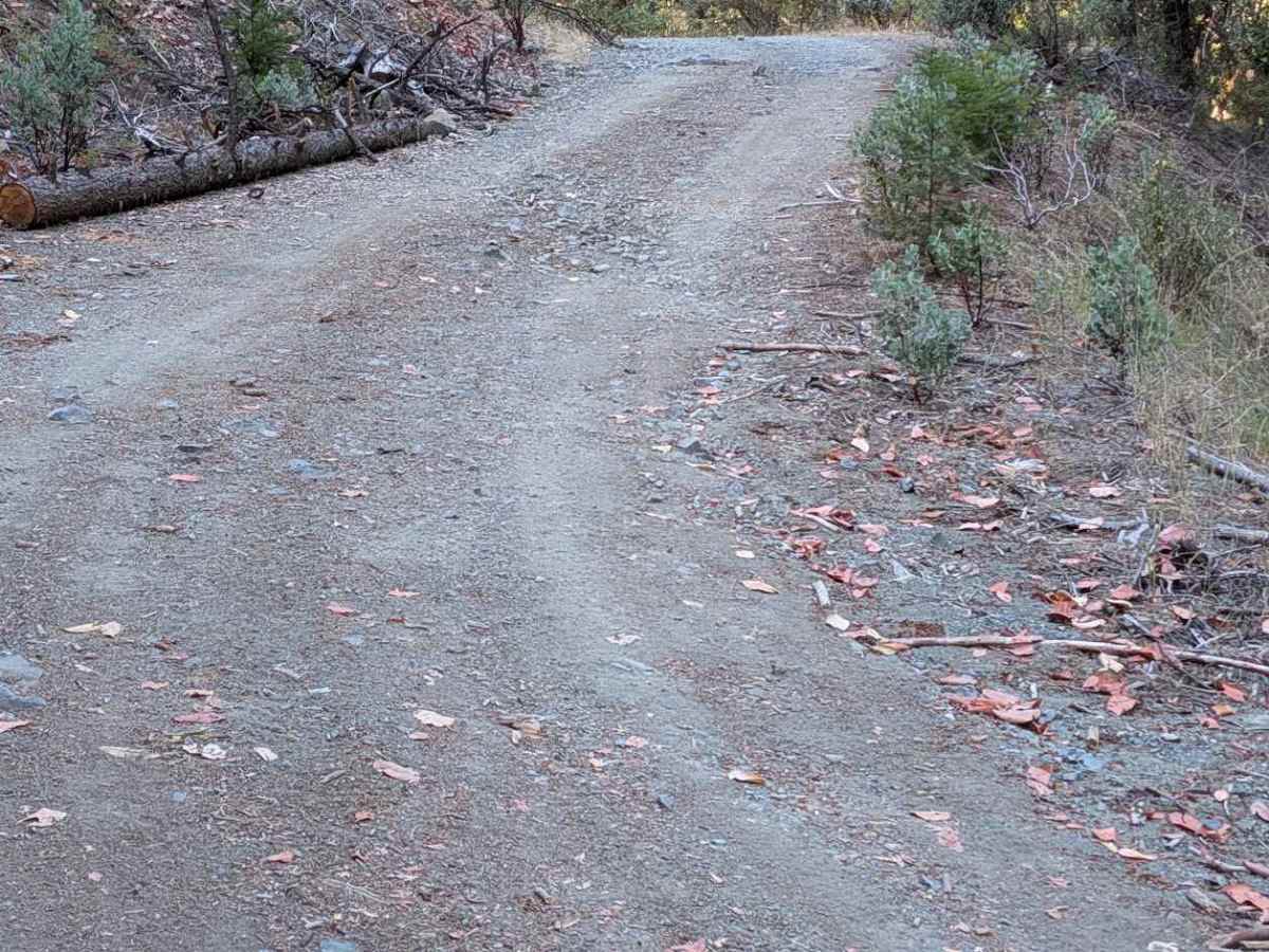 Goods Gulch Road - FS 31N38 photo 2