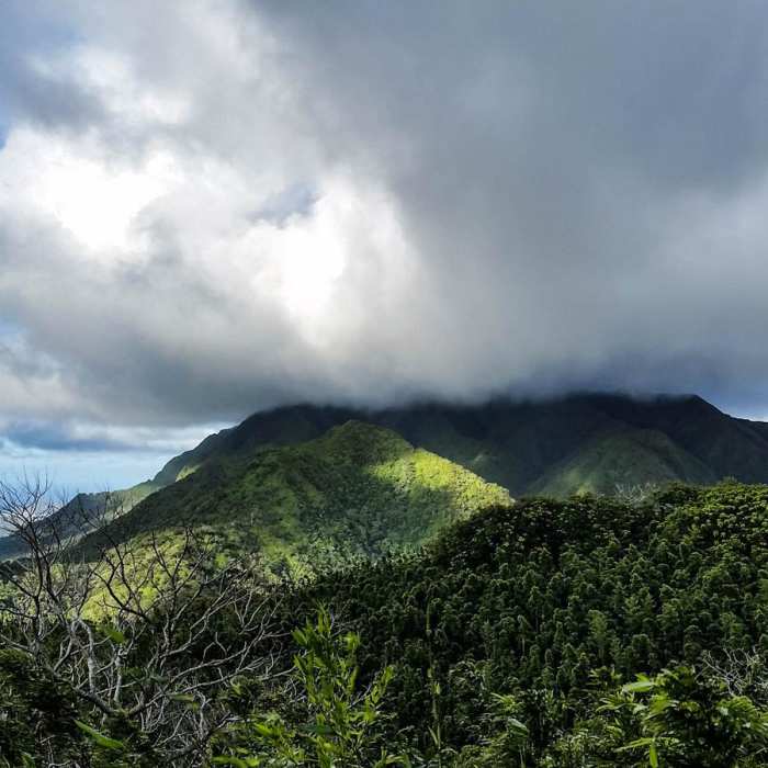 Near Konahuanui Summit / K2 via Pu'u Ohia Near Konahuanui Summit / K2 via Pu'u Ohia