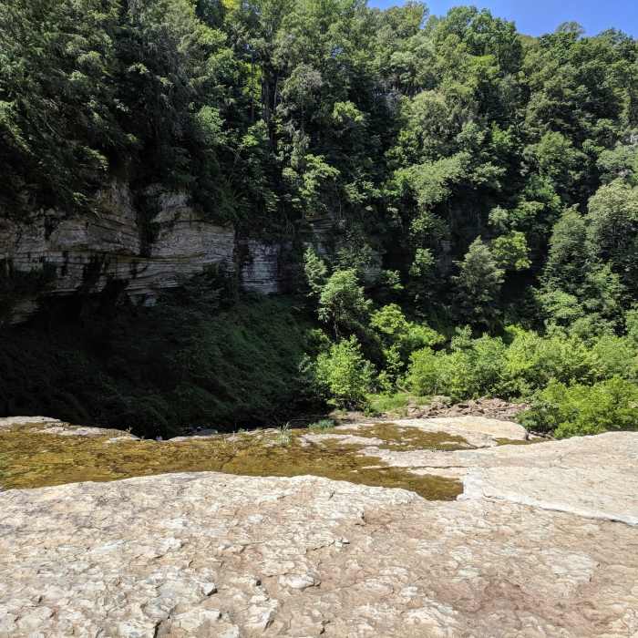 Near John Cummins Trail
