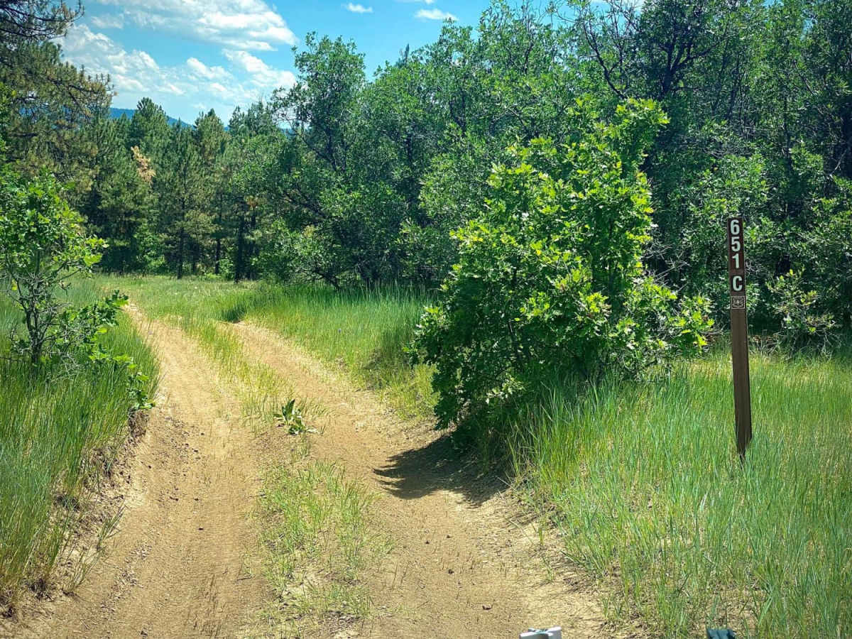 Eight Mile Mesa C-USFS Rd #651C photo 2