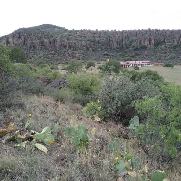 Near Photographers Trail