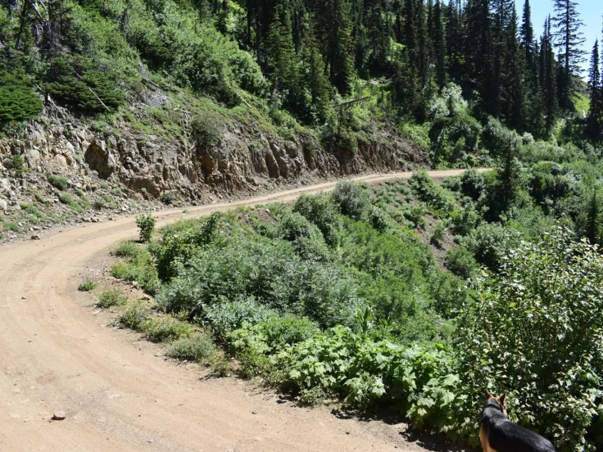 Jubilee to Tiger Creek photo 4