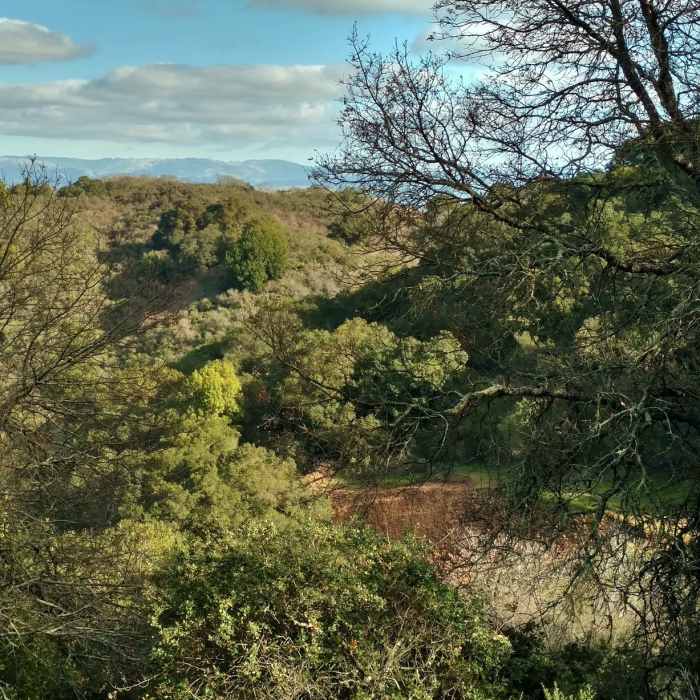 Near Randol Trail