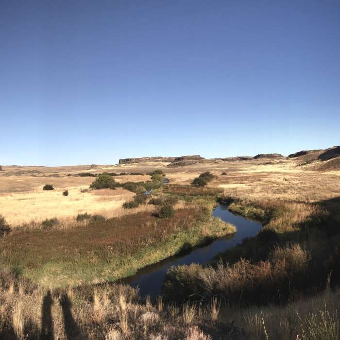 Near Towell Falls Trail