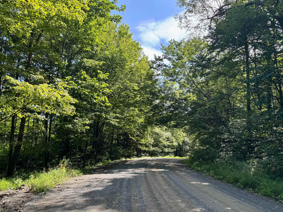 Bear Run Road - FS 223 photo 5