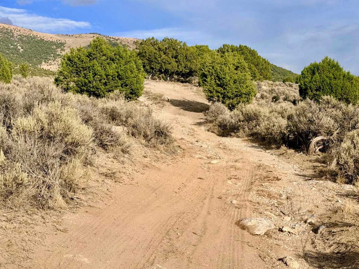 Ruby City Creek - FS 57853 photo 5