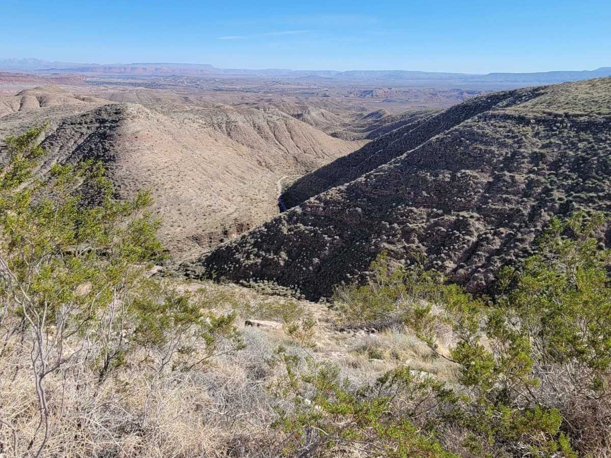 Bear Claw Poppy Trail photo 2
