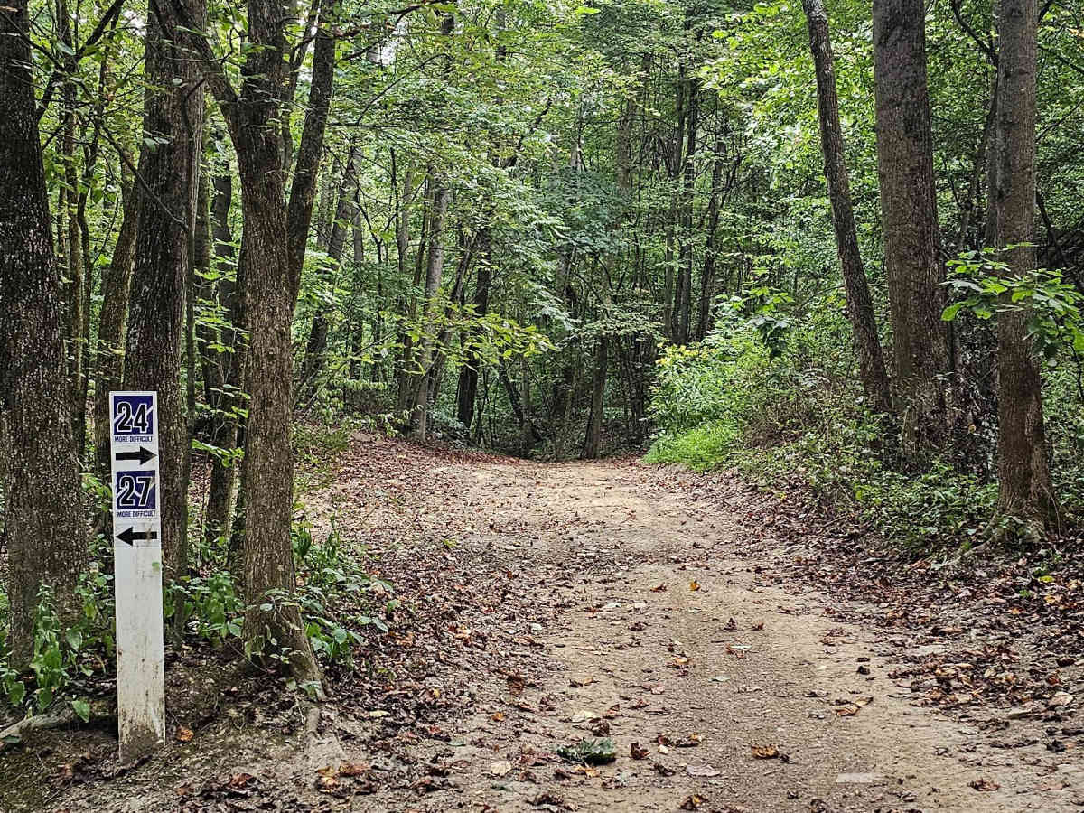 Trail 24  trail photo