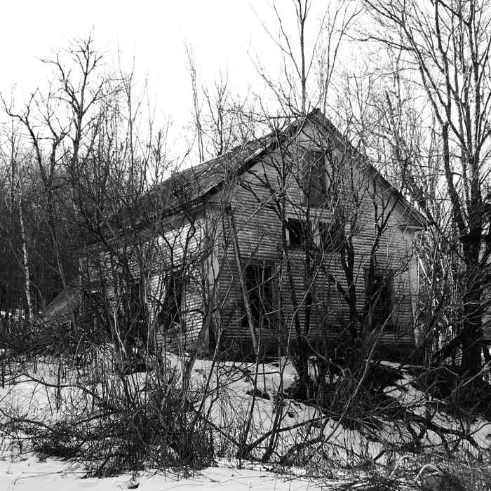 Near "S" Turns Trail