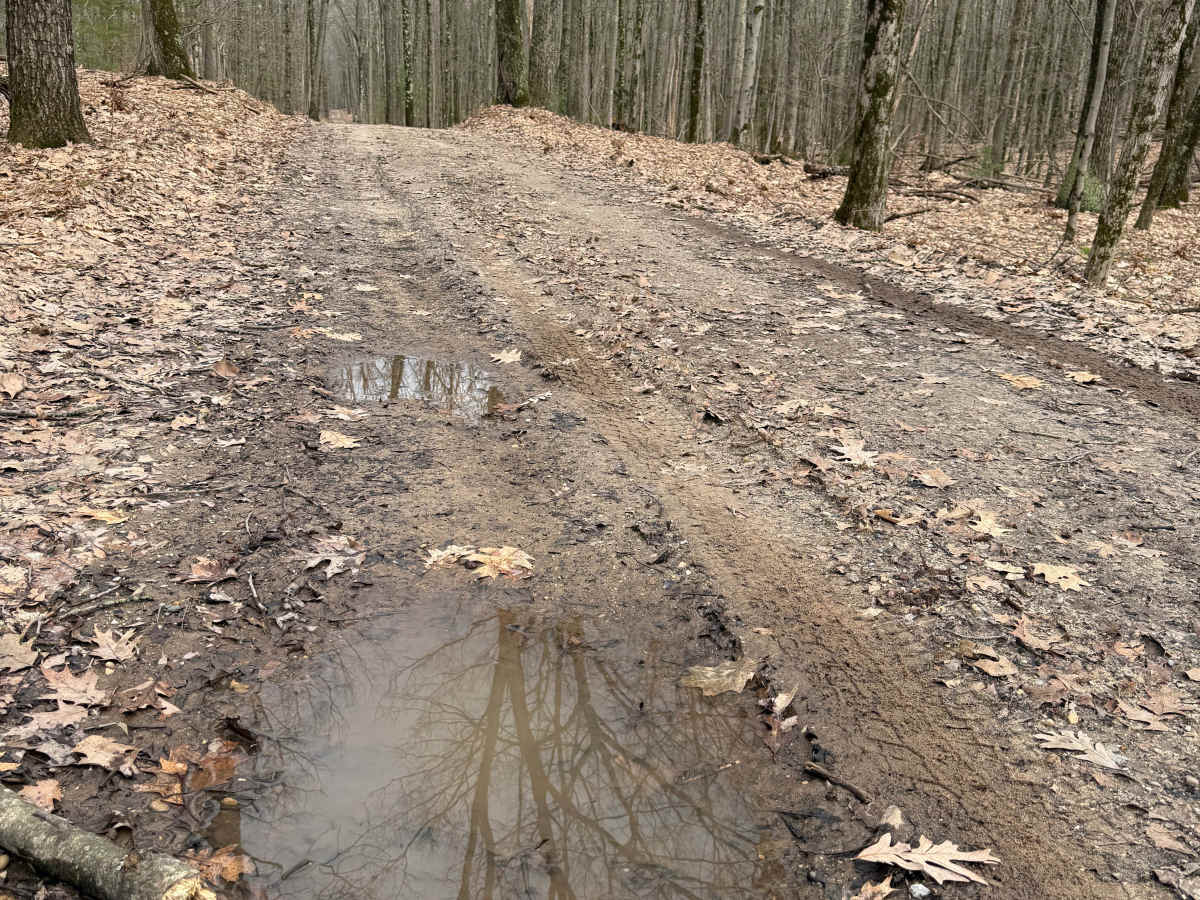 FS 8180 trail photo
