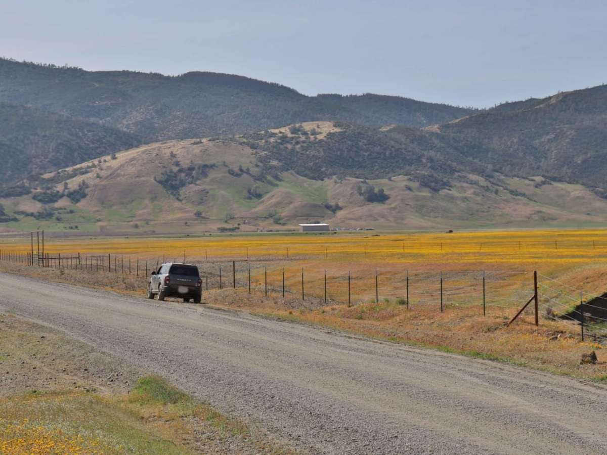 Bear Valley Road Trail trail photo