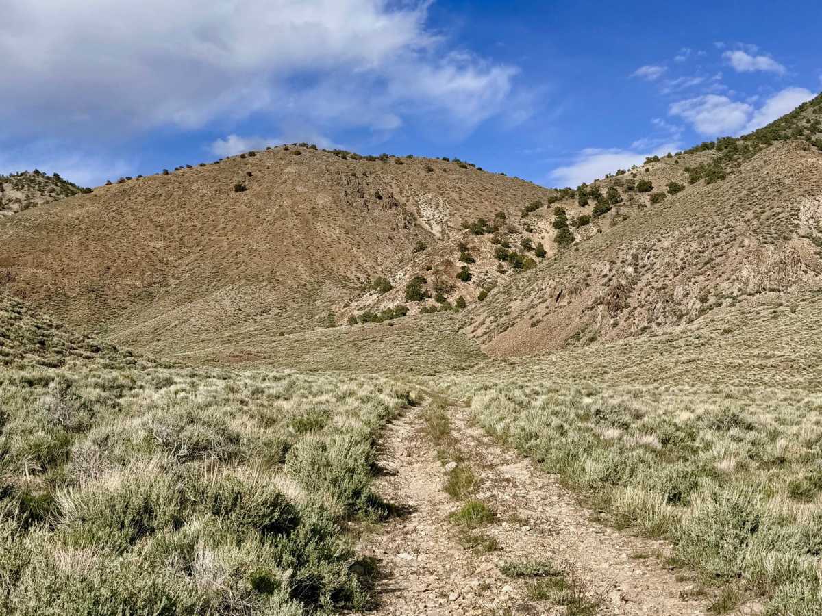  Horse Creek - FS 44166 photo 6