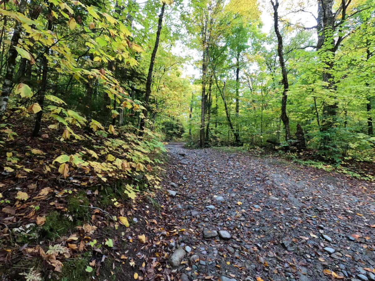 Stock Bridge Road to Woodstock photo 4