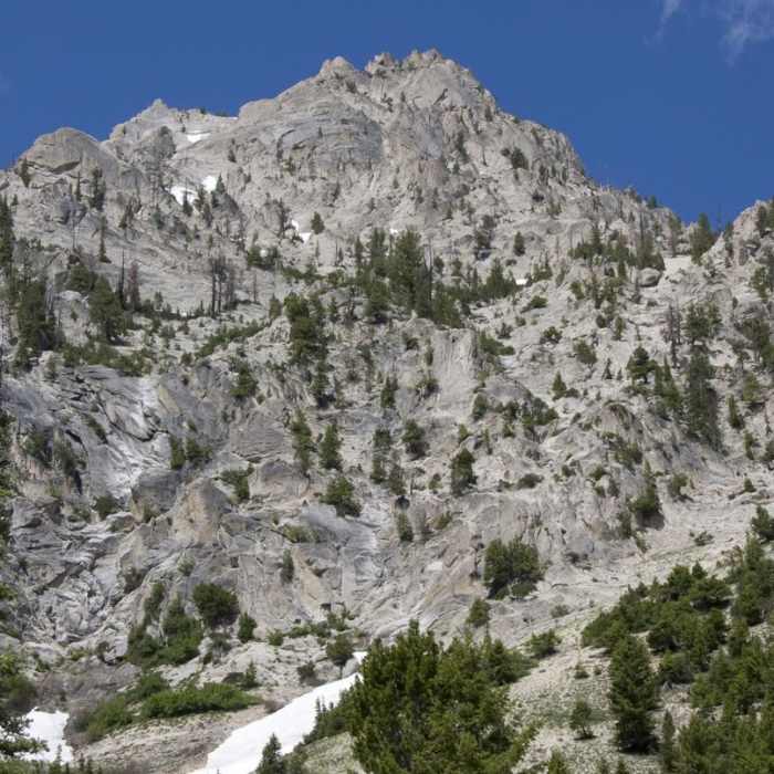 Near Alpine Way Trail, Iron Creek to Stanley Lake