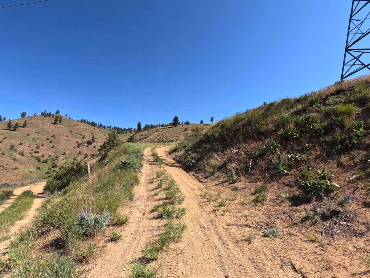 Powerline Road - FS 5303 photo 2