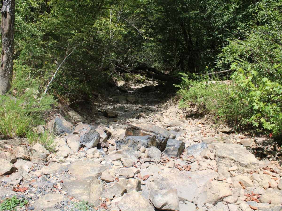 Polk Road 34 to Camping photo 5
