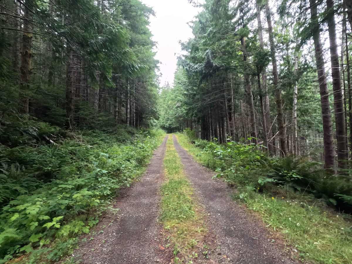 Church Creek East Trailhead - FS 2361600 photo 3