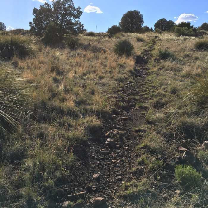 Near Boston Hill Full Tour