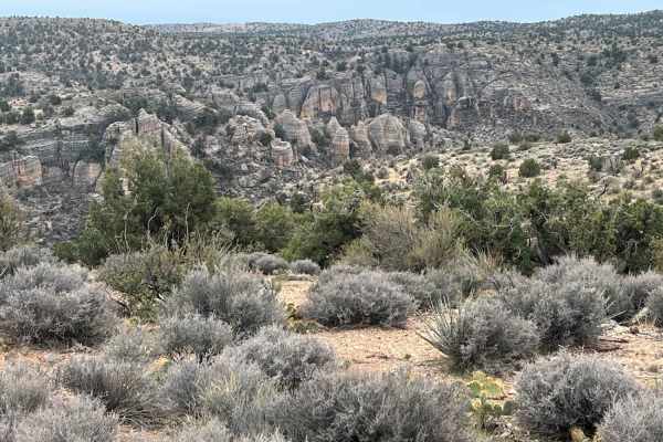 Hole-n-Wall Canyon - Segmiller Mountain