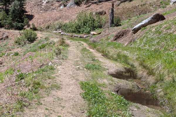 Sunday Peak Trail