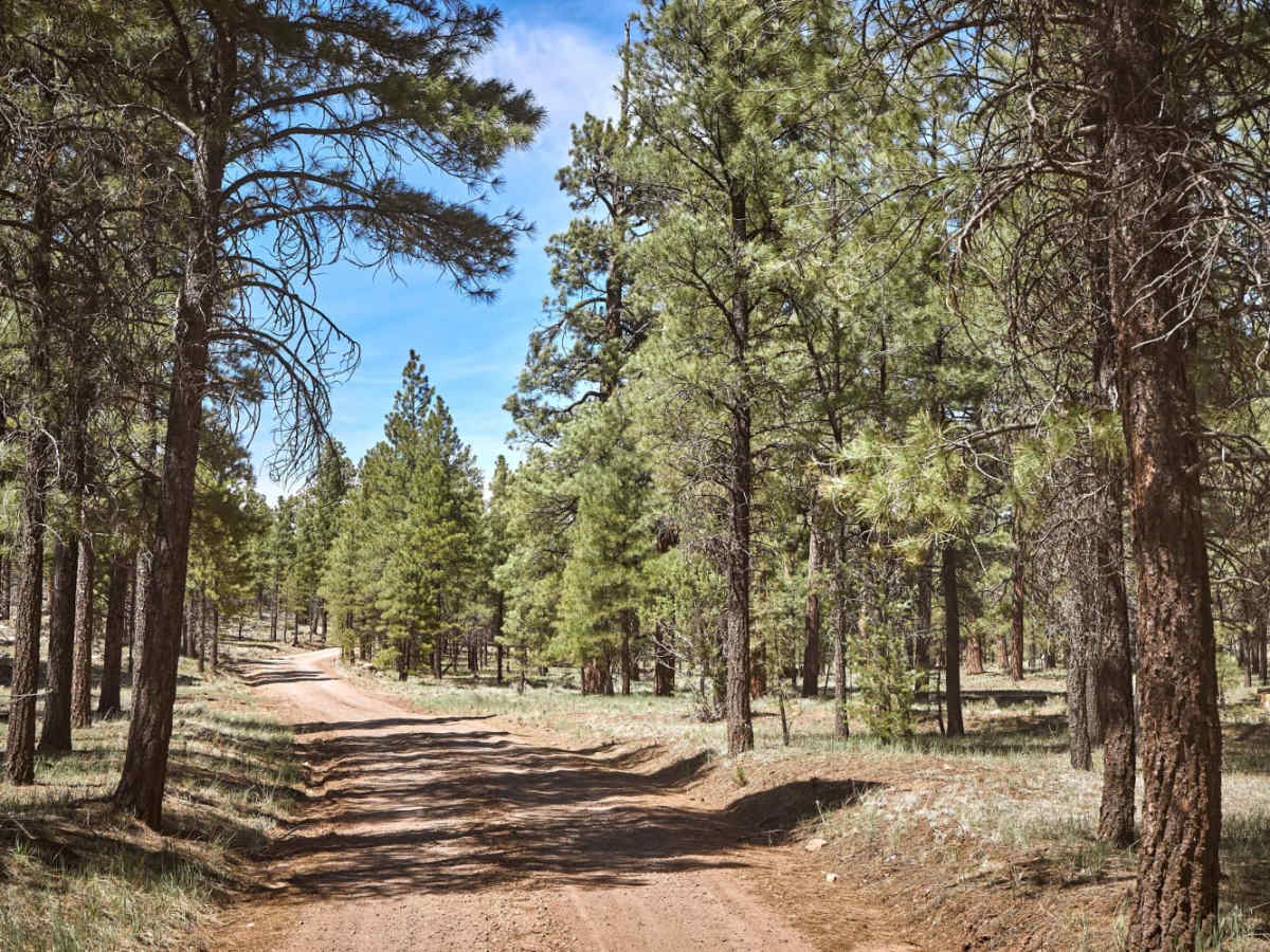 Russell Tank Road photo 4