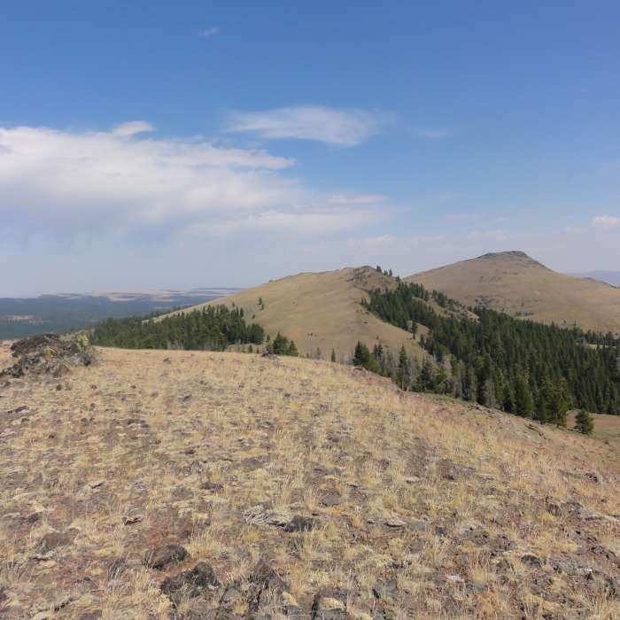 Near Oregon Desert Trail (Seg. 7): Paisley to Abert South