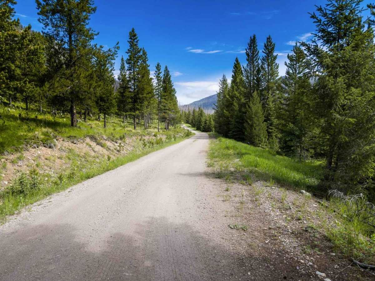Moose Lake Road photo 3